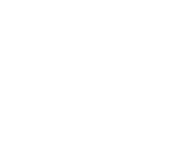 B-Cam