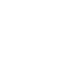 Integer Wealth Global